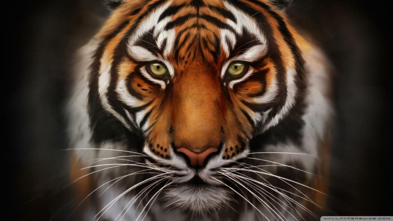Zoo House Честър Екстериор снимка